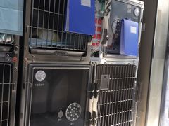 -申普宠物医院·心脏介入·心血管微创(总院)