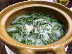 上汤浸辣椒叶-猪肉婆私房菜(容桂总店)