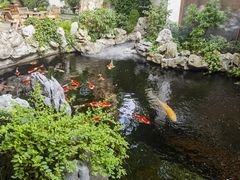 -鲤院·新中式美学·庭院餐厅(夫子庙店)