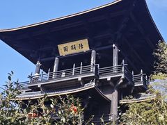 -大唐贡茶院
