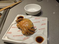 -海底捞火锅(金光华店)