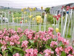 -紫颐香薰山谷景区