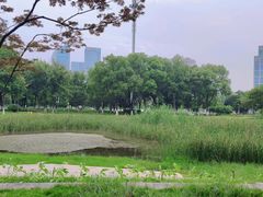 -后襄河公园