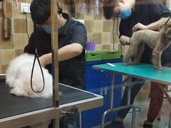 -我爱吾宠宠物美容院(朝阳路店)