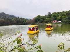 -星湖旅游景区七星岩