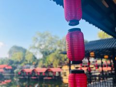 -侨美·唐荔园·40年地道粤菜