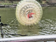-杭州少年儿童公园