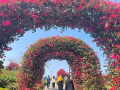 -东莞植物园
