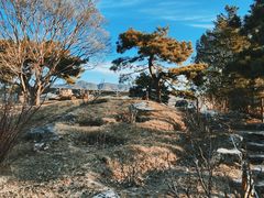 -国家植物园南园