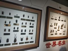 -上海昆虫博物馆
