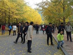 android_upload_pic-辽宁大学(崇山校区)