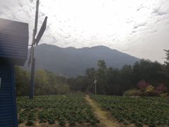 -广州市流溪河国家森林公园