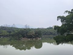-江心屿景区