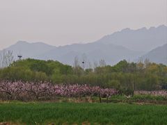 -九寨沟石锅鱼(沣峪口二十年店)