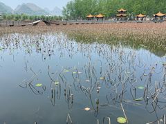 -安龙招堤