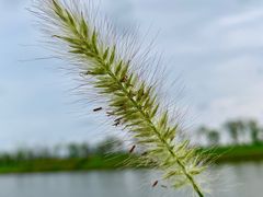 -春花秋色城市公园