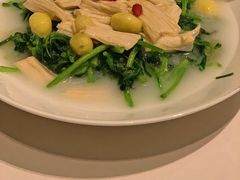银杏腐竹浸皇帝苗-金轩中餐厅 Jin Xuan(浦东丽思卡尔顿酒店)