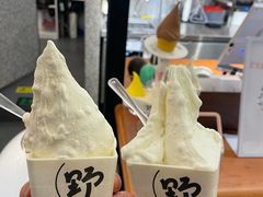 -野人先生Gelato(上海长宁龙之梦店)