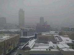 -梧桐餐厅(泉城路店)