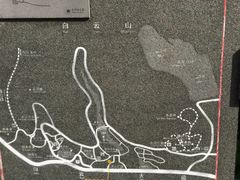 -云溪植物园