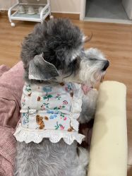 -Adore nail日式美甲美睫