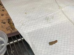 -半岛宠物医院24小时(科华中路店)
