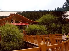 -黄龙山原始森林景区