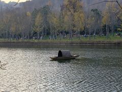 -千年银杏谷文化旅游区