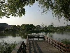 -新江湾城公园