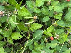 -溪口-滕头旅游景区