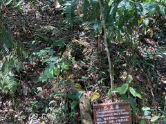 -普洱太阳河森林公园