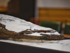 -VESH COFFEE(定西路店)