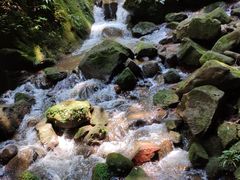 -赤水丹霞旅游区·佛光岩