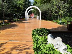 -黑龙江省森林植物园