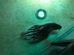 -酷嗒动物文化乐园(cutezoo西溪乐天城店)