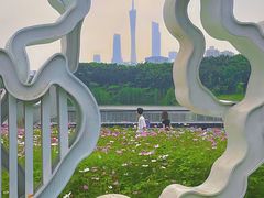 -海珠湖公园
