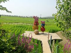 景点-稻梦空间