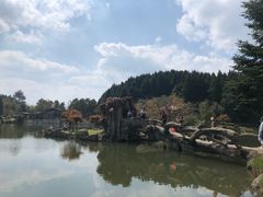 -四明山国家森林公园