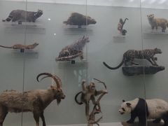 -国家自然博物馆