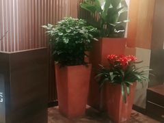 -新旺茶餐厅(嘉里城店)