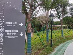 -映月湖公园