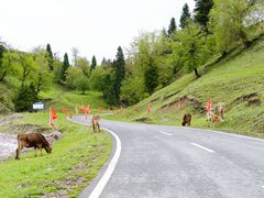 -新疆那拉提国家旅游度假区