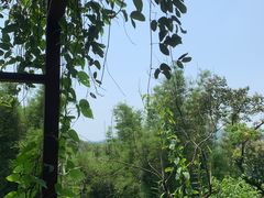 -天鹿湖森林公园
