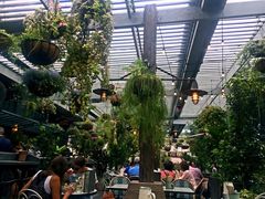 -The Grounds of Alexandria