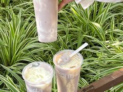 -茶百道(河婆店)