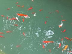 -四门塔风景区