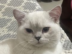 -荔康动物医院(康王北路店)