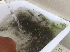 -乡乐园蟹庄·阳澄湖农家乐