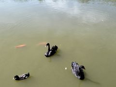 -静之湖度假区