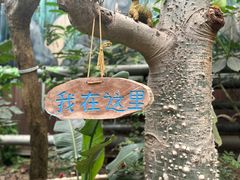 -呀路古热带植物园